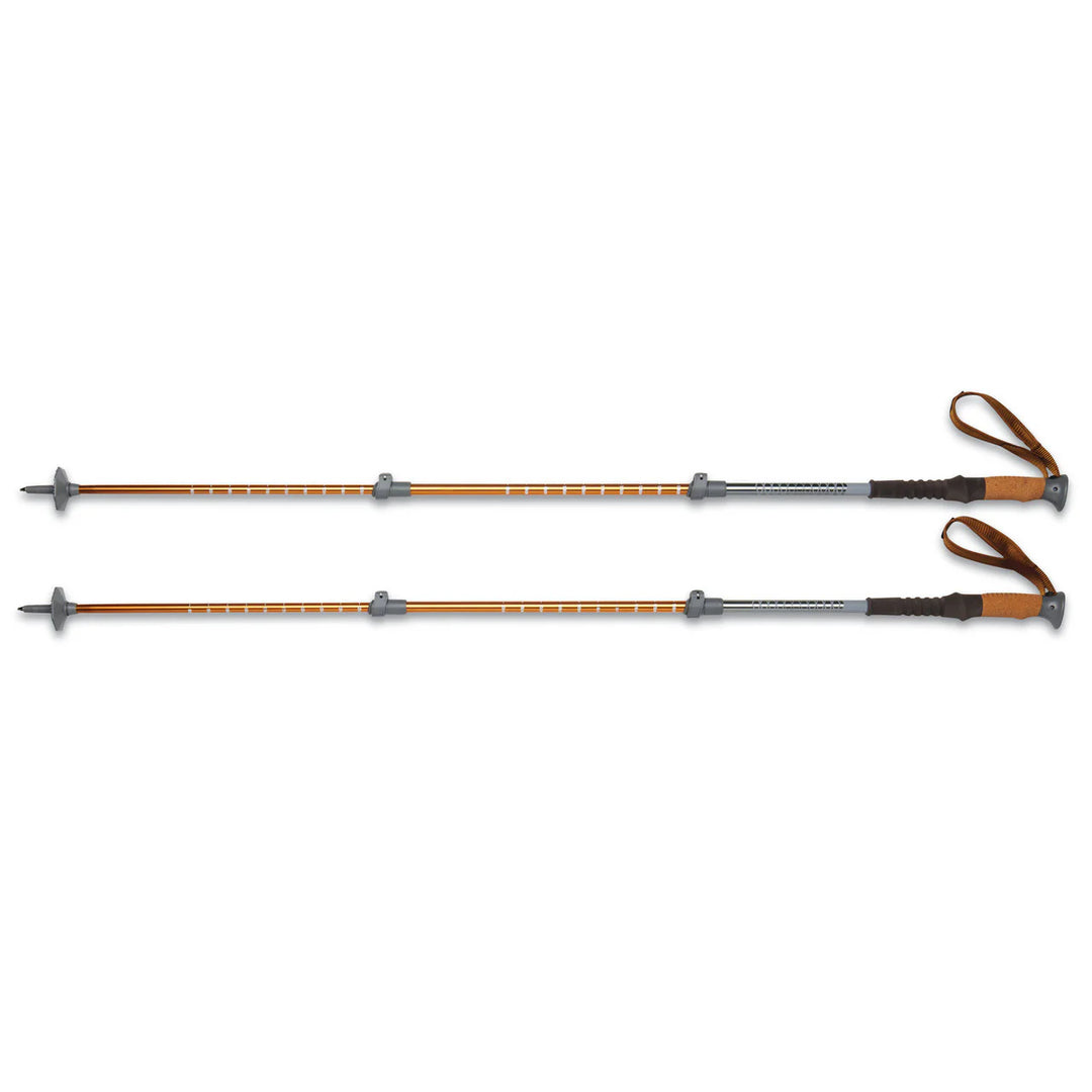 SCREE (TREKKING POLES)