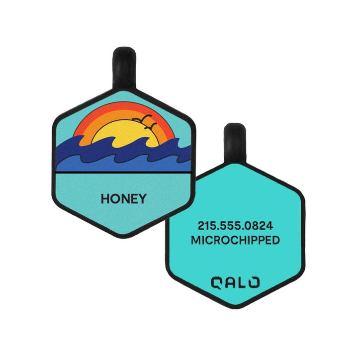 Boone Mountain Sports - QALO STANDARD TRaQ DOG ID TAG