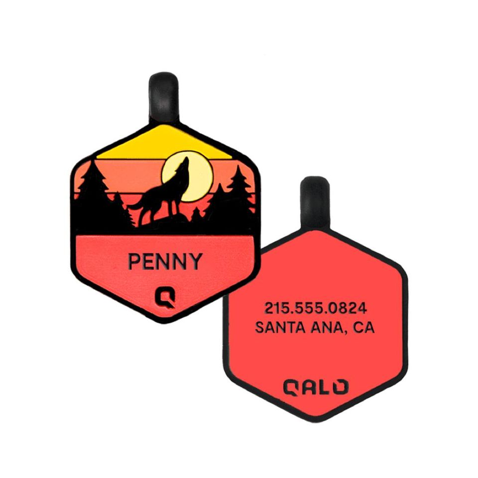 Qalo silicone dog id tag online